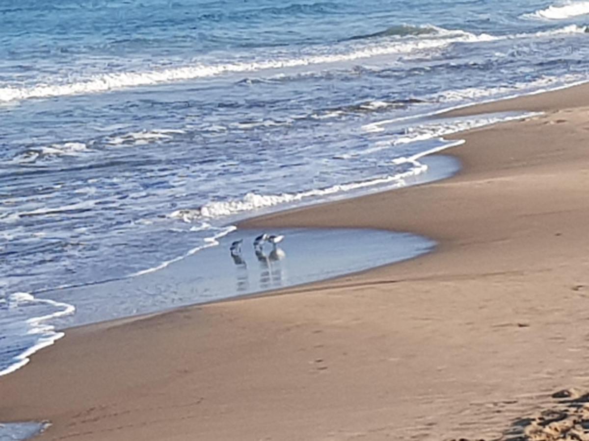 Exclusive Apartment - Playa De Marenys De Rafalcaid Gandia Ngoại thất bức ảnh