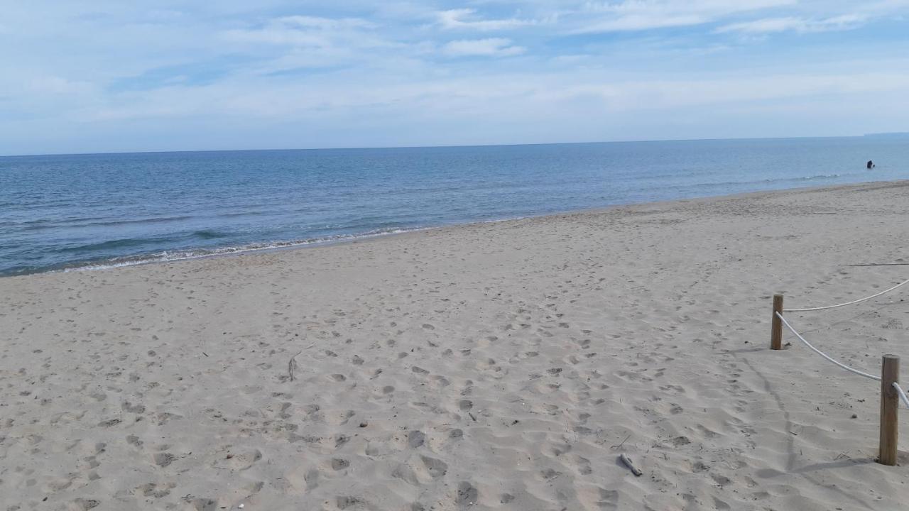 Exclusive Apartment - Playa De Marenys De Rafalcaid Gandia Ngoại thất bức ảnh