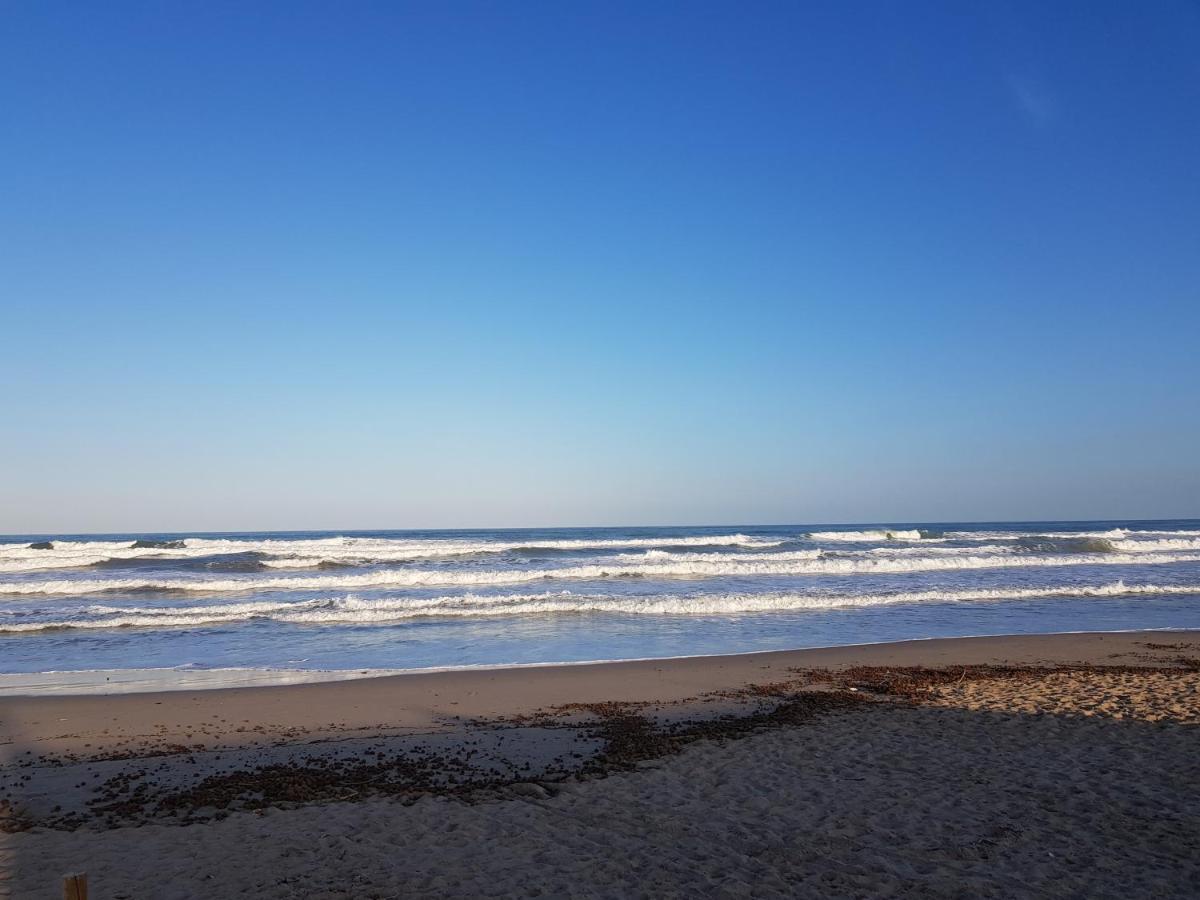 Exclusive Apartment - Playa De Marenys De Rafalcaid Gandia Ngoại thất bức ảnh