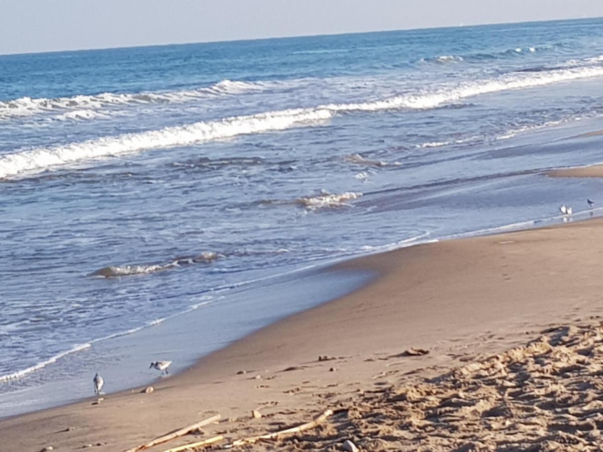 Exclusive Apartment - Playa De Marenys De Rafalcaid Gandia Ngoại thất bức ảnh